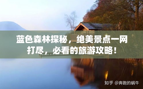 藍(lán)色森林探秘，絕美景點一網(wǎng)打盡，必看的旅游攻略！