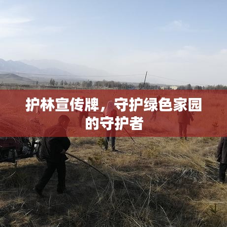 護(hù)林宣傳牌，守護(hù)綠色家園的守護(hù)者