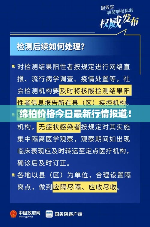 綿柏價格今日最新行情報道！