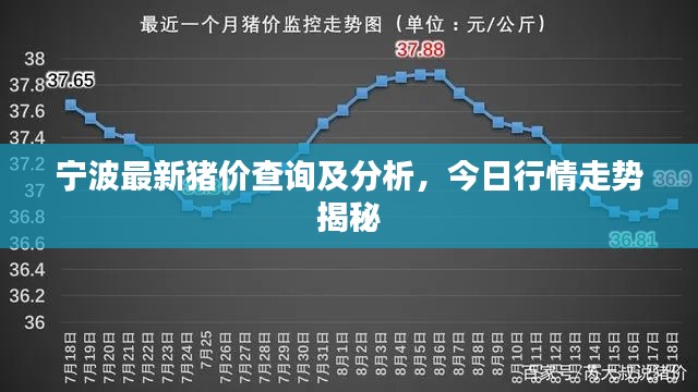 寧波最新豬價查詢及分析，今日行情走勢揭秘