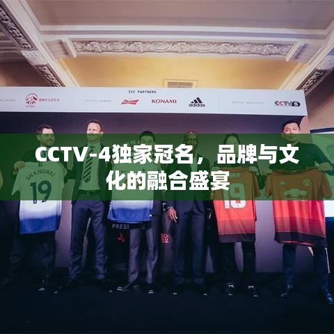 CCTV-4獨家冠名，品牌與文化的融合盛宴