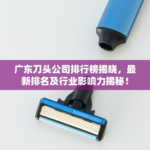 廣東刀頭公司排行榜揭曉，最新排名及行業(yè)影響力揭秘！