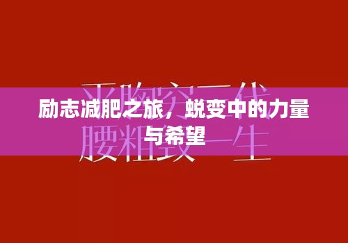 勵志減肥之旅，蛻變中的力量與希望