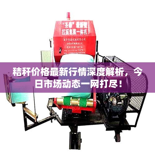 秸稈價(jià)格最新行情深度解析，今日市場(chǎng)動(dòng)態(tài)一網(wǎng)打盡！