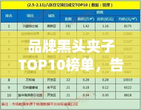 品牌黑頭夾子TOP10榜單，告別黑頭煩惱！