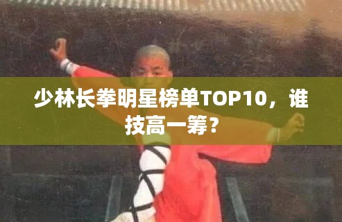 少林長(zhǎng)拳明星榜單TOP10，誰(shuí)技高一籌？