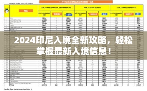 2024印尼入境全新攻略，輕松掌握最新入境信息！