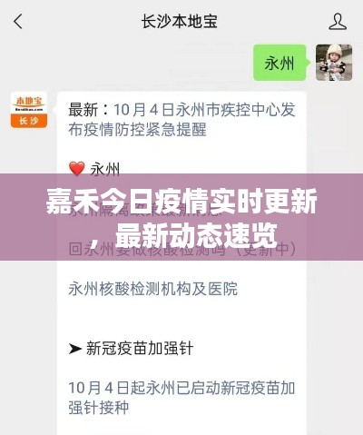 嘉禾今日疫情實(shí)時(shí)更新，最新動(dòng)態(tài)速覽
