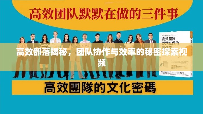 高效部落揭秘，團(tuán)隊(duì)協(xié)作與效率的秘密探索視頻
