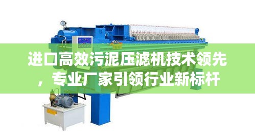 進(jìn)口高效污泥壓濾機技術(shù)領(lǐng)先，專業(yè)廠家引領(lǐng)行業(yè)新標(biāo)桿