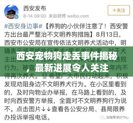 西安寵物狗走丟事件揭秘，最新進(jìn)展令人關(guān)注