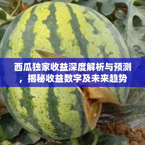 西瓜獨家收益深度解析與預測，揭秘收益數字及未來趨勢
