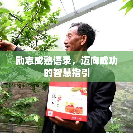 勵(lì)志成熟語(yǔ)錄，邁向成功的智慧指引