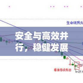 安全與高效并行，穩(wěn)健發(fā)展典范展現