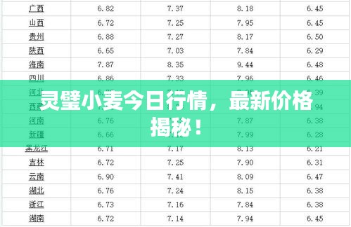 靈璧小麥今日行情，最新價(jià)格揭秘！