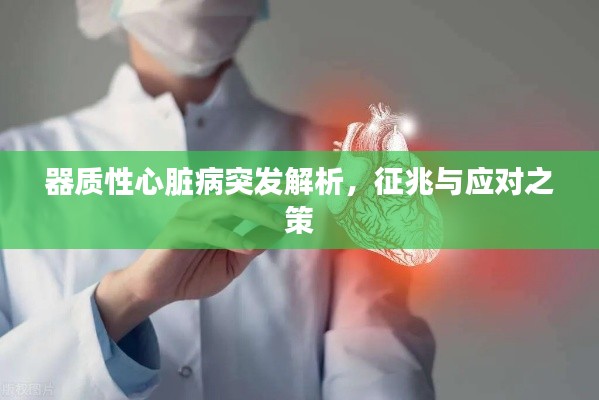 器質(zhì)性心臟病突發(fā)解析，征兆與應(yīng)對之策