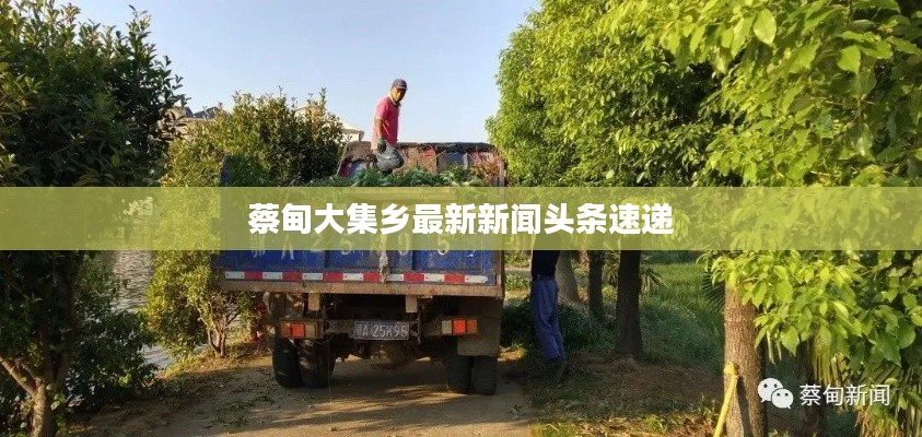 蔡甸大集鄉(xiāng)最新新聞頭條速遞