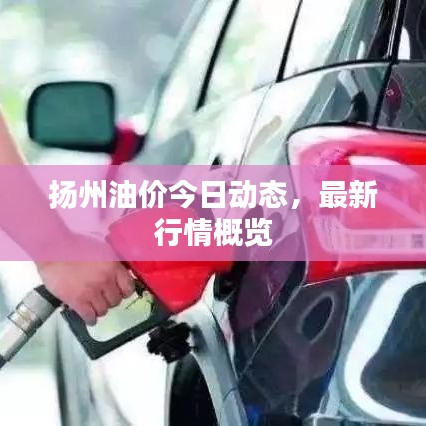 揚(yáng)州油價(jià)今日動(dòng)態(tài)，最新行情概覽