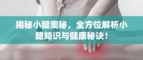 揭秘小腿奧秘，全方位解析小腿知識(shí)與健康秘訣！