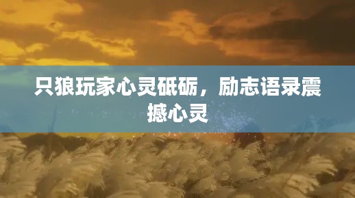 只狼玩家心靈砥礪，勵(lì)志語(yǔ)錄震撼心靈