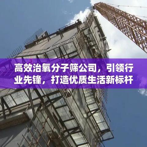 高效治氧分子篩公司，引領(lǐng)行業(yè)先鋒，打造優(yōu)質(zhì)生活新標(biāo)桿
