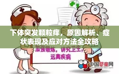 下體突發(fā)顆粒癢，原因解析、癥狀表現(xiàn)及應(yīng)對方法全攻略