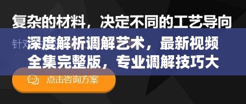 深度解析調(diào)解藝術(shù)，最新視頻全集完整版，專業(yè)調(diào)解技巧大揭秘