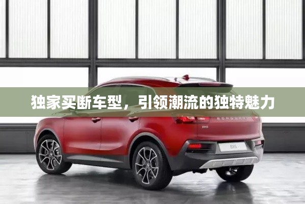 獨(dú)家買斷車型，引領(lǐng)潮流的獨(dú)特魅力