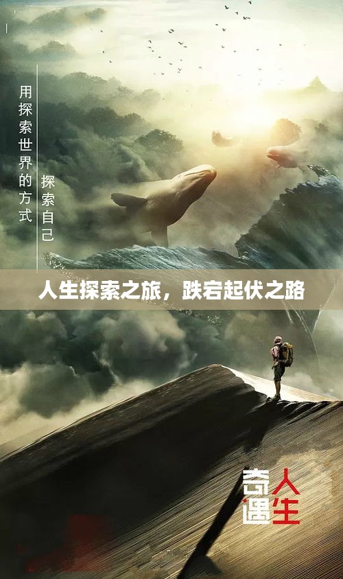 人生探索之旅，跌宕起伏之路