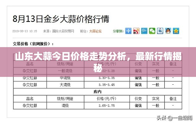 山東大蒜今日價格走勢分析，最新行情揭秘