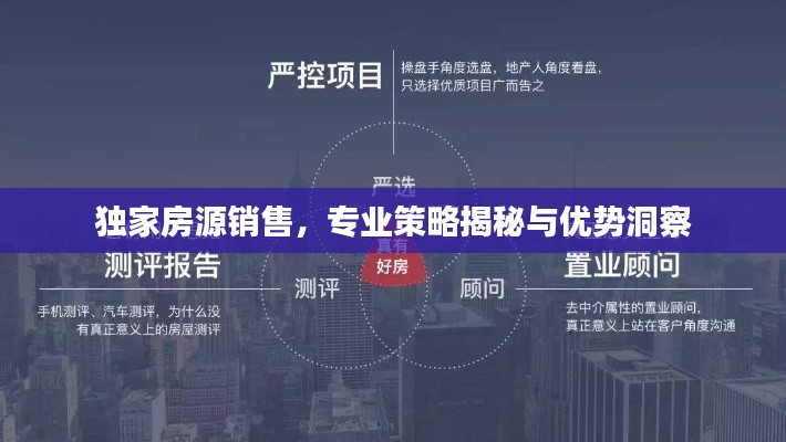 獨家房源銷售，專業(yè)策略揭秘與優(yōu)勢洞察