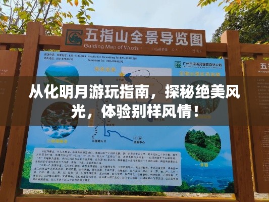 從化明月游玩指南，探秘絕美風(fēng)光，體驗別樣風(fēng)情！