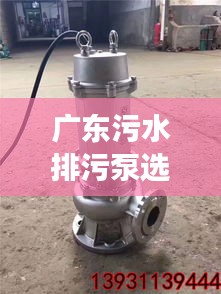 廣東污水排污泵選型指南，規(guī)范選購，高效排水