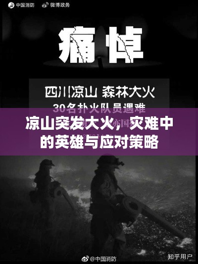 涼山突發(fā)大火，災(zāi)難中的英雄與應(yīng)對(duì)策略
