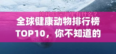 全球健康動物排行榜TOP10，你不知道的神奇生物！
