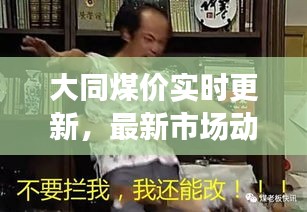 大同煤價實時更新，最新市場動態(tài)揭秘