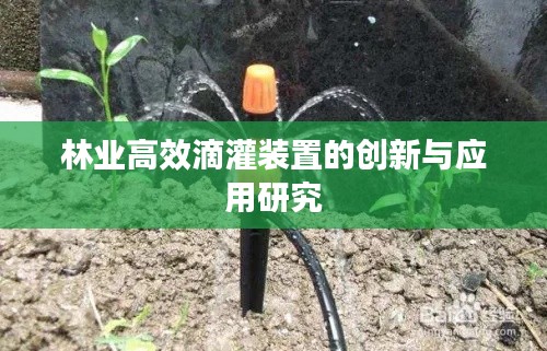 林業(yè)高效滴灌裝置的創(chuàng)新與應用研究