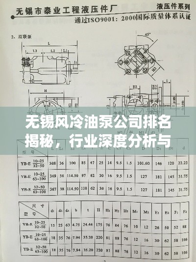 無錫風(fēng)冷油泵公司排名揭秘，行業(yè)深度分析與趨勢(shì)解讀