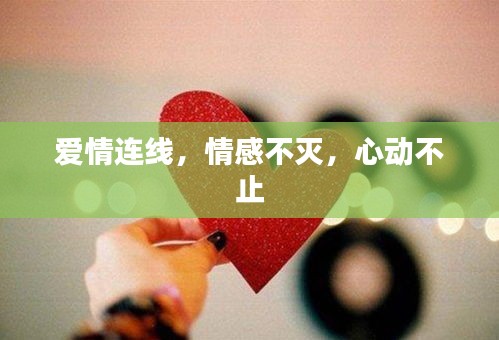 愛情連線，情感不滅，心動(dòng)不止