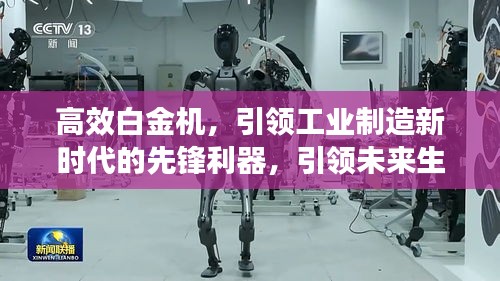 高效白金機，引領工業(yè)制造新時代的先鋒利器，引領未來生產(chǎn)力革命
