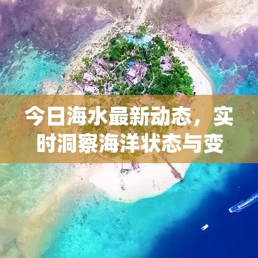 今日海水最新動態(tài)，實時洞察海洋狀態(tài)與變化
