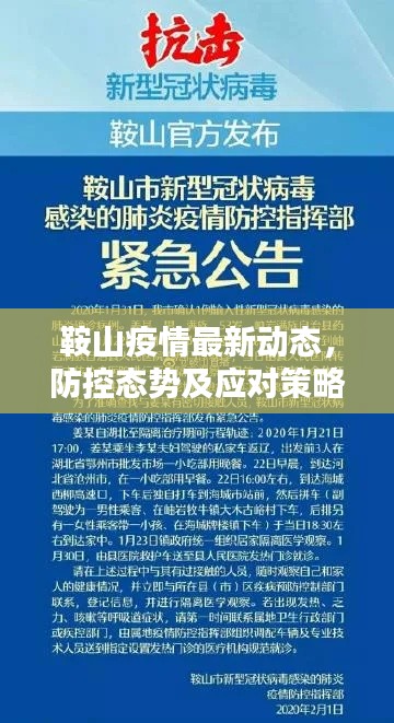 鞍山疫情最新動(dòng)態(tài)，防控態(tài)勢(shì)及應(yīng)對(duì)策略揭秘