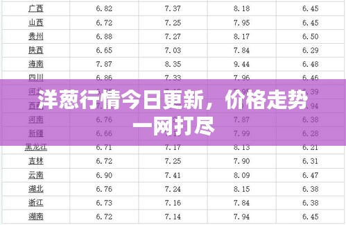 洋蔥行情今日更新，價(jià)格走勢(shì)一網(wǎng)打盡